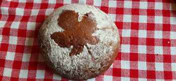 Herbstling Herbstling